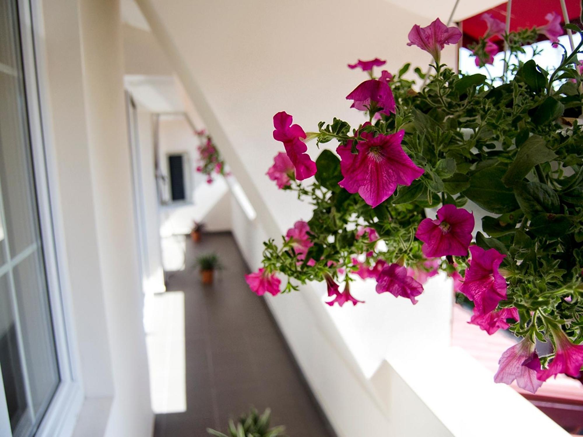 Hotel Tranzzit Бухарест Экстерьер фото